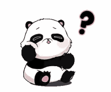 chonky panda cute kawaii cheeks