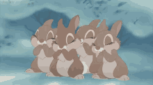 Bunnies GIF - Bunnies GIFs