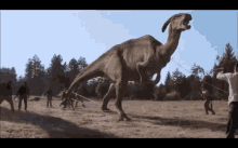 Dinosaur Jurassic GIF - Dinosaur Jurassic Park GIFs