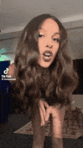 a woman with long brown hair is standing in front of a tiktok video .