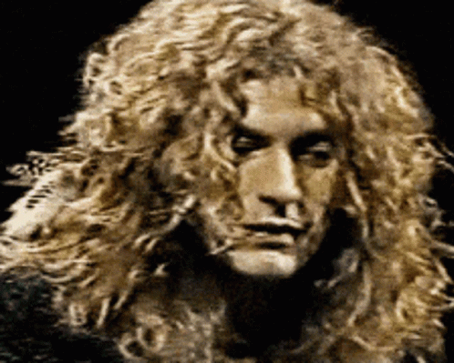 Zeppelin Hair GIF - Led Zeppelin Hair Toss Attention Whore Discover & Share