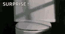 Ghoulies Toilet GIF - Ghoulies Toilet Surprise GIFs