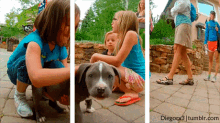 3d Optical Illusions GIF - 3d Optical Illusions Dog GIFs