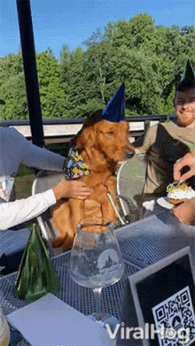 Birthday Dog Viralhog GIF - Birthday Dog Viralhog A Dog Eating A Cake GIFs