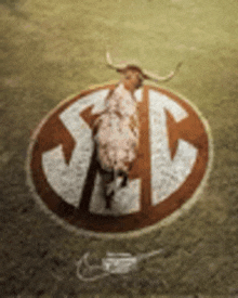 a picture of a bull in a circle with the letters sd on it