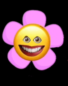a flower with a smiley face on it