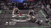 two wrestlers in a wrestling ring with the words wtv live on the bottom