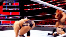 two women are wrestling in a wrestling ring with a crowd in the background .