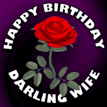 happy birthday wife happy birthday darling wife wifes birthday greetings birthday rose for wife red rose for wifes birthday