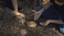 Fateful Findings Neil Breen GIF - Fateful Findings Neil Breen Mushroom GIFs