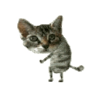 a cat is standing on its hind legs and looking at the camera .