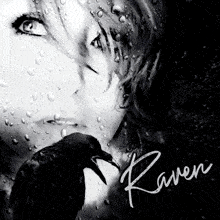 Raven GIF - Raven GIFs
