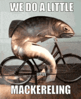 We Do A Little Mackereling Mage Errant Hugh Mackerel GIF - We Do A Little Mackereling Mage Errant Hugh Mackerel GIFs