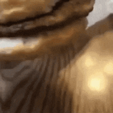 a close up of a person 's face with a blurry background