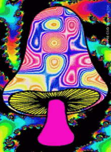 mushrooms psychedelic hippie trippy colorful