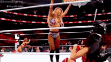 Carmella Nikki Bella GIF - Carmella Nikki Bella You Cant See Me GIFs