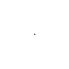 a white circle with a black circle in the middle of it