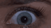 Eye Wide Eyed GIF - Eye Wide Eyed Dilated Pupils GIFs