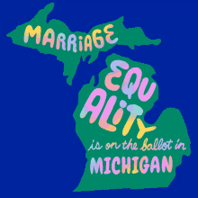 Michigan Election On The Ballot GIF - Michigan Election On The Ballot Marriage GIFs