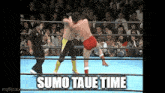 Akira Taue Sumo Taue GIF - Akira Taue Sumo Taue GIFs