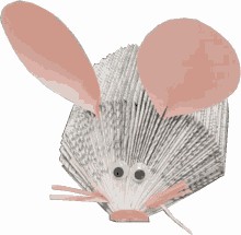 rat raton