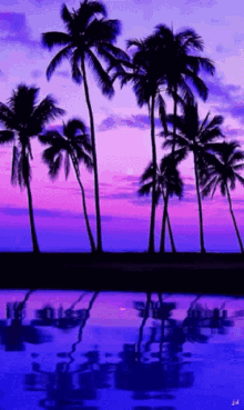purple beach
