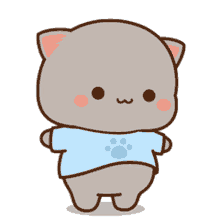 chubby cat