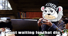 a cartoon bear wearing a beanie that says kimba on it