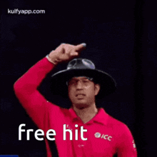 a man wearing a hat and a red shirt is raising his fist in the air and says free hit .
