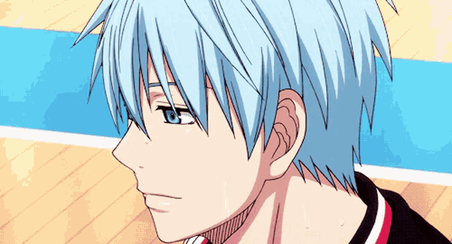 Goodbye, Kuroko no Basuke