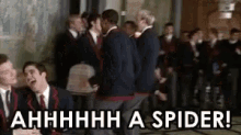 Glee Spider GIF - Glee Spider School GIFs