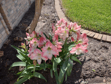 Happy Easter Lily GIF