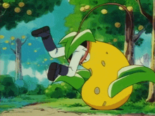 GIF