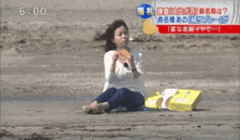 Seagull Stealing Food Seagull Steals Food GIF