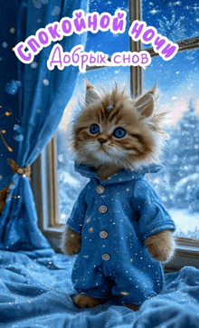 a kitten wearing a blue pajama is standing on a bed