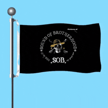 a black flag with a skull and crossbones says sound of brotherhood sob