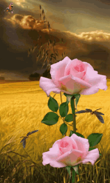 Este Rózsa Pillangó GIF - Este Rózsa Pillangó GIFs