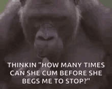 Scratch Gorilla GIF - Scratch Gorilla Chimp GIFs