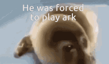 Ark Forced To GIF - Ark Forced To GIFs