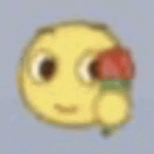 a blurry picture of a yellow smiley face with a red flower in its mouth .