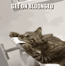 get bloonstd