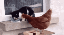 Yes Excited GIF - Yes Excited Chicken GIFs