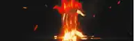 a fire is burning in the dark with a lot of sparks