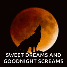 a wolf howling at the moon with the words sweet dreams and goodnight screams above it