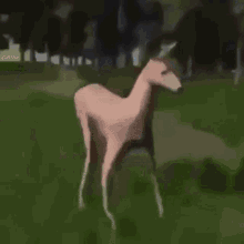 Deer Weirdo GIF - Deer Weirdo Dance GIFs