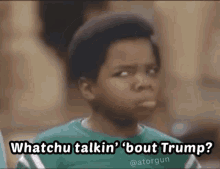 What Are You Talking About Trump Elections2020 GIF - What Are You Talking About Trump Elections2020 Us Campaign GIFs