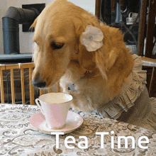 Tea Time Tea Party GIF