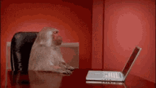 Friday Done GIF - Friday Done Over It GIFs