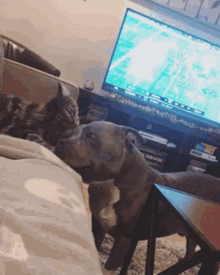 GIF