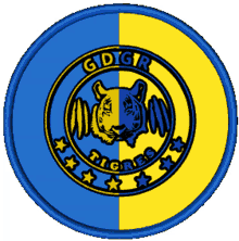 gdgr tigres logo spin